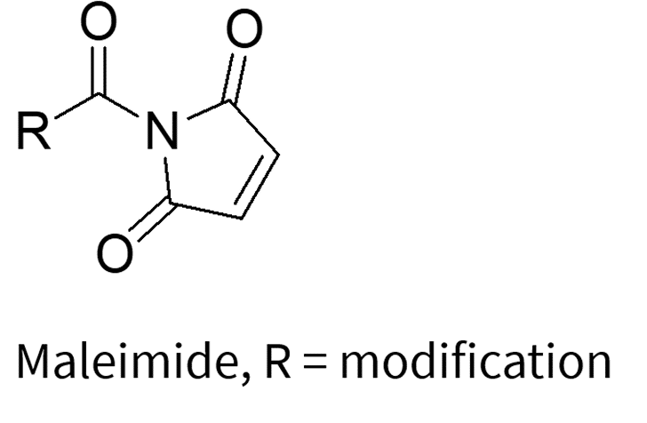 Chemical struture of Maleimide, R=modification