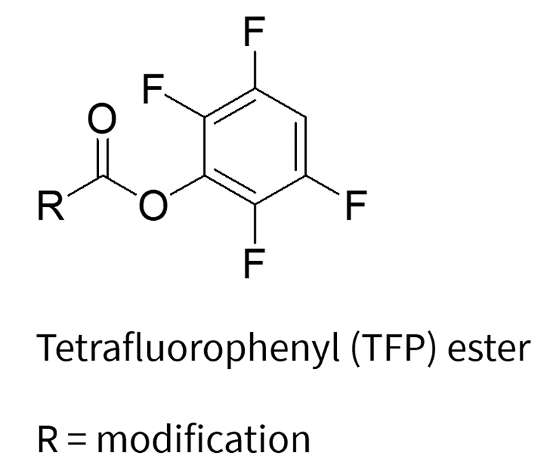 Chemical struture of Tetrafluorophenyl (TFP) ester, R=modification