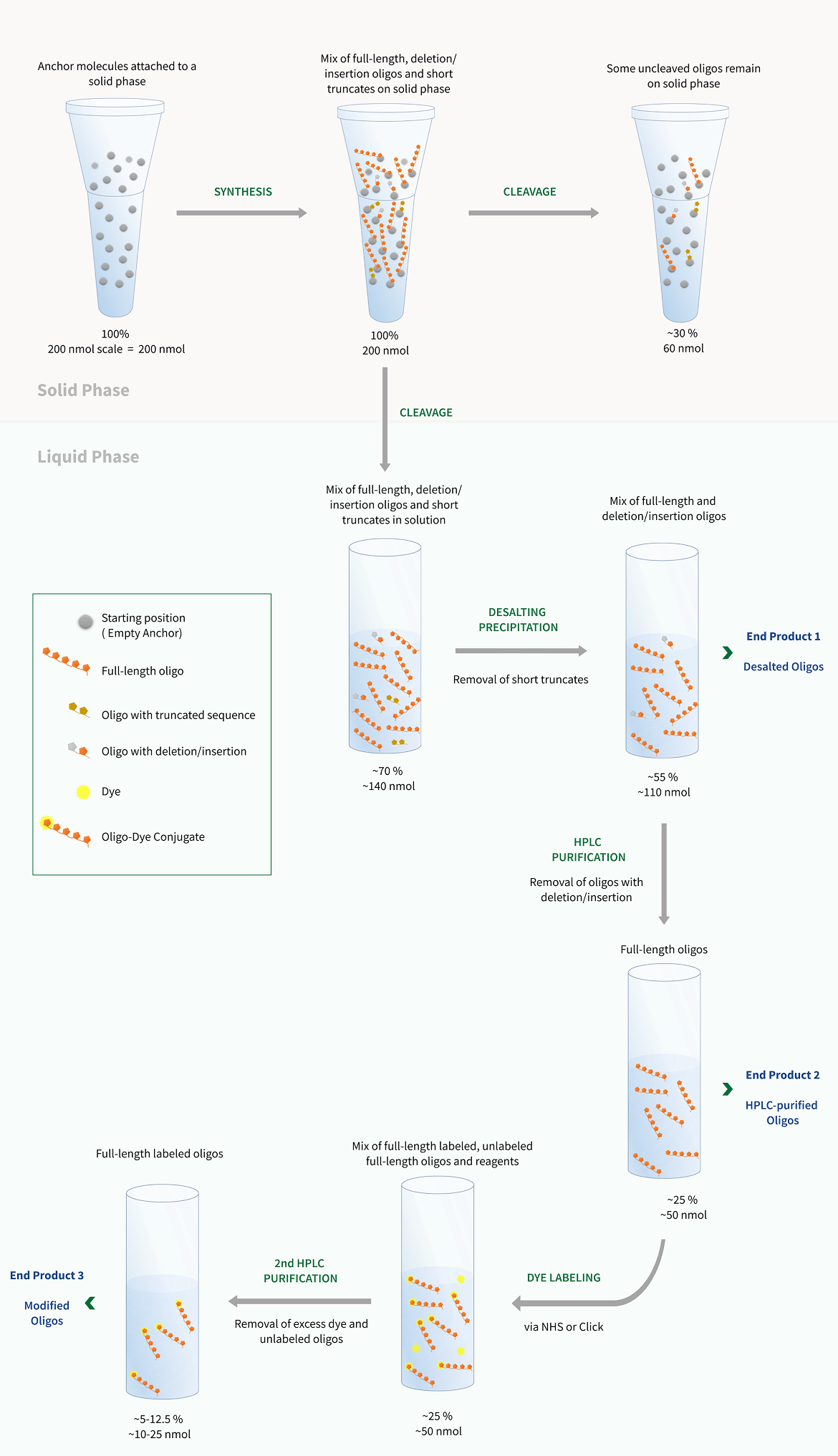 Scales and yields in oligo synthesis-navigating yield loss with a 20mer oligo production process