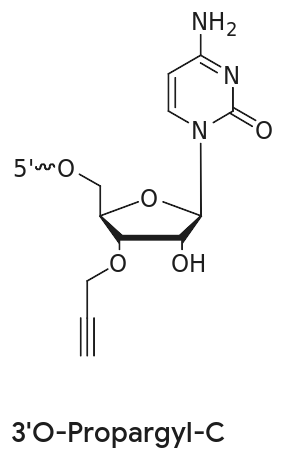Click Chemistry Chemical structure of 3'-O-propargyl-C, a cytidine with a 3'-O-propargyl alkyne group for click chemistry