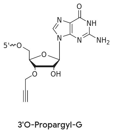 Click Chemistry Chemical structure of 3'-O-propargyl-G, a guanosine with a 3'-O-propargyl alkyne group for click chemistry