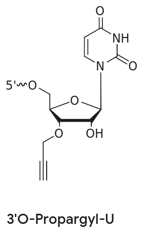 Click Chemistry Chemical structure of 3'-O-propargyl-U, a uridine with a 3'-O-propargyl alkyne group for click chemistry